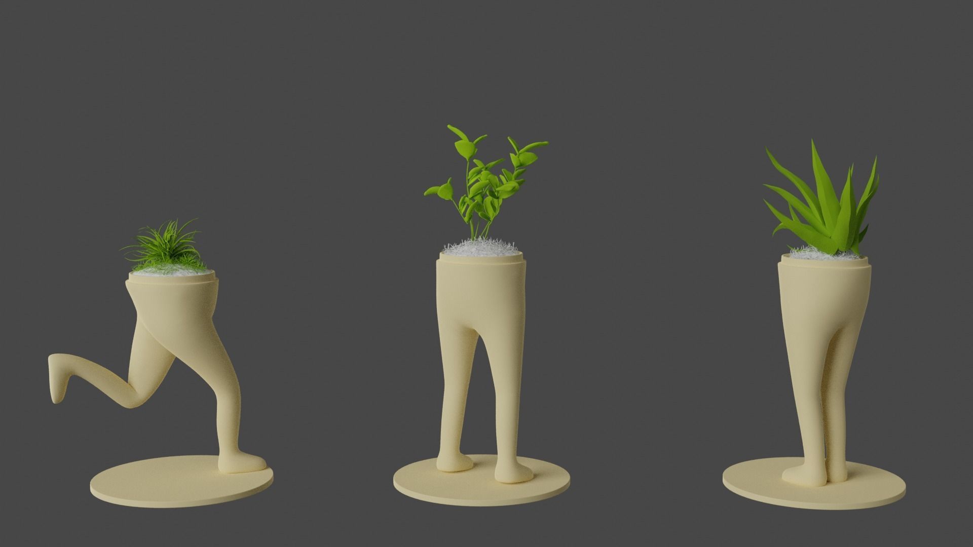 Succulent and Cactus in pot Low-poly 3D model_6