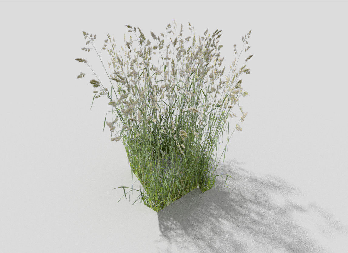 low poly grass Low-poly 3D model_4