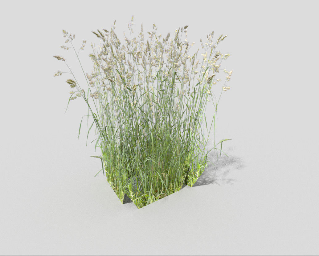 low poly grass Low-poly 3D model_3