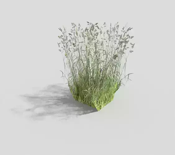 low poly grass Low-poly 3D model
