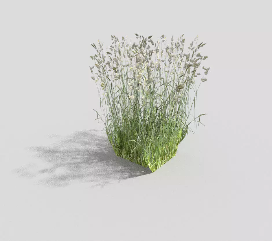 low poly grass Low-poly 3D model_0