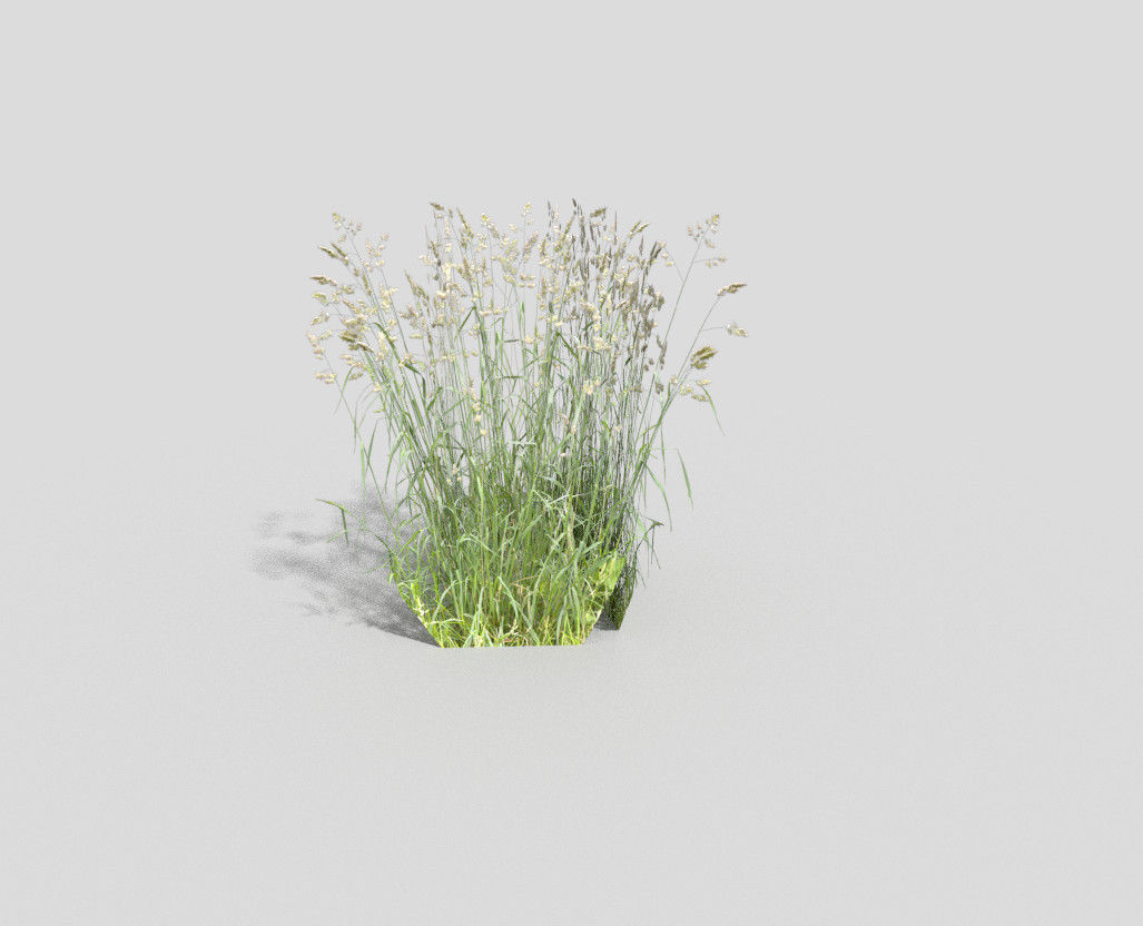 low poly grass Low-poly 3D model_1