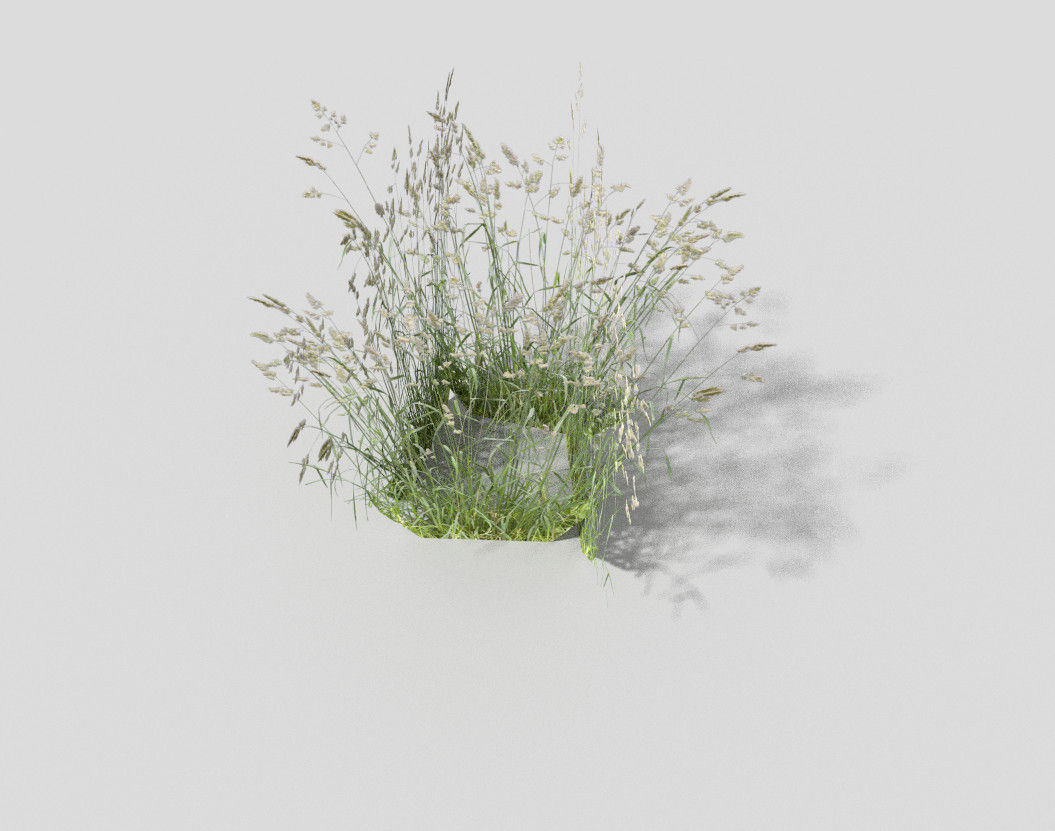 low poly grass Low-poly 3D model_2