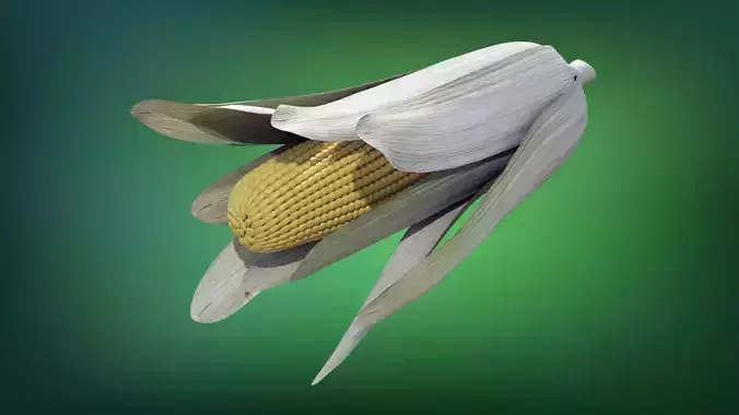 Corn - Mazorca Low-poly 3D model