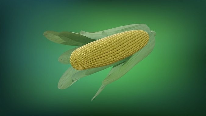 Corn - Mazorca Low-poly 3D model 7