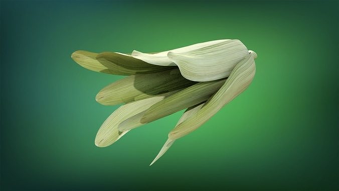 Corn - Mazorca Low-poly 3D model 6