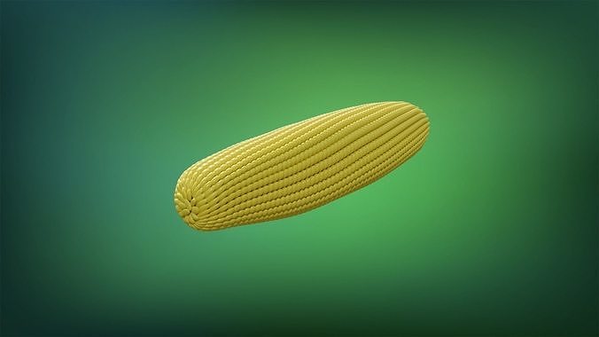 Corn - Mazorca Low-poly 3D model 5