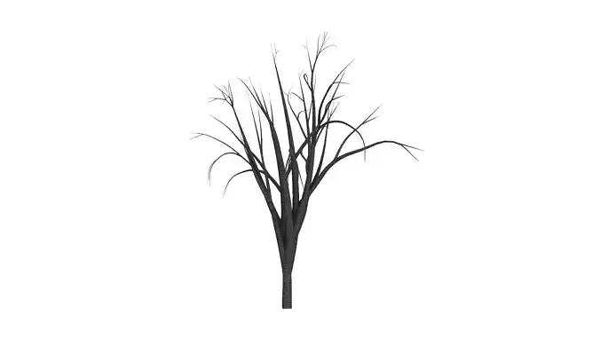 Dead Tree 2  Free low-poly 3D model