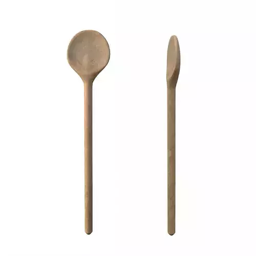 Wooden Spoon 2