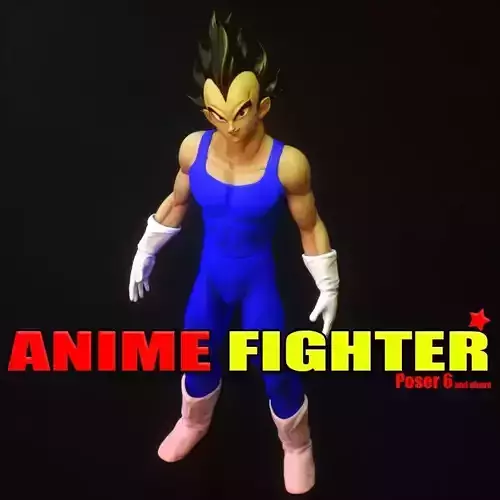 Anime Fighter Super Pack w Bonus Add On Rigged Poser Daz3d 3D model