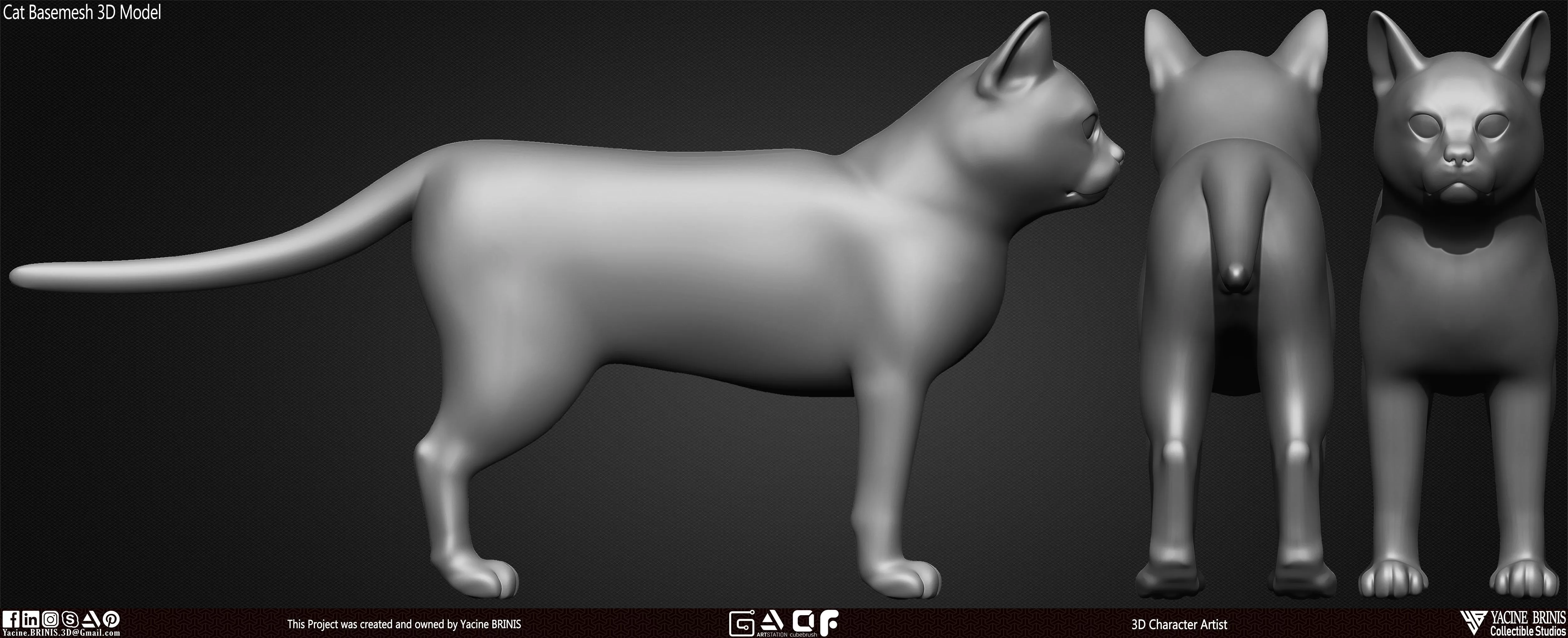 Cat Basemesh 3D Model Low-poly 3D model