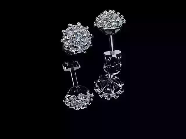 Earring pair of diamond stud earrings