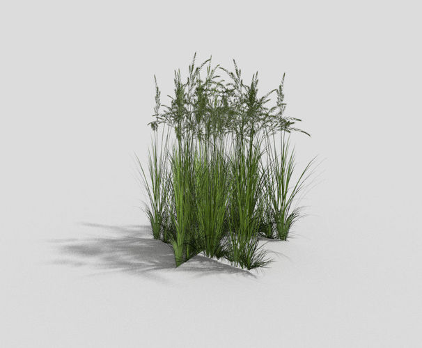 low poly grass tall Low-poly 3D model