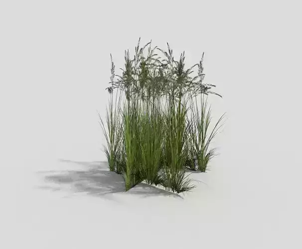 low poly grass tall Low-poly 3D model