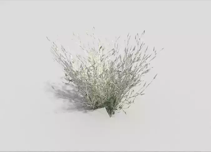 low poly grass plant