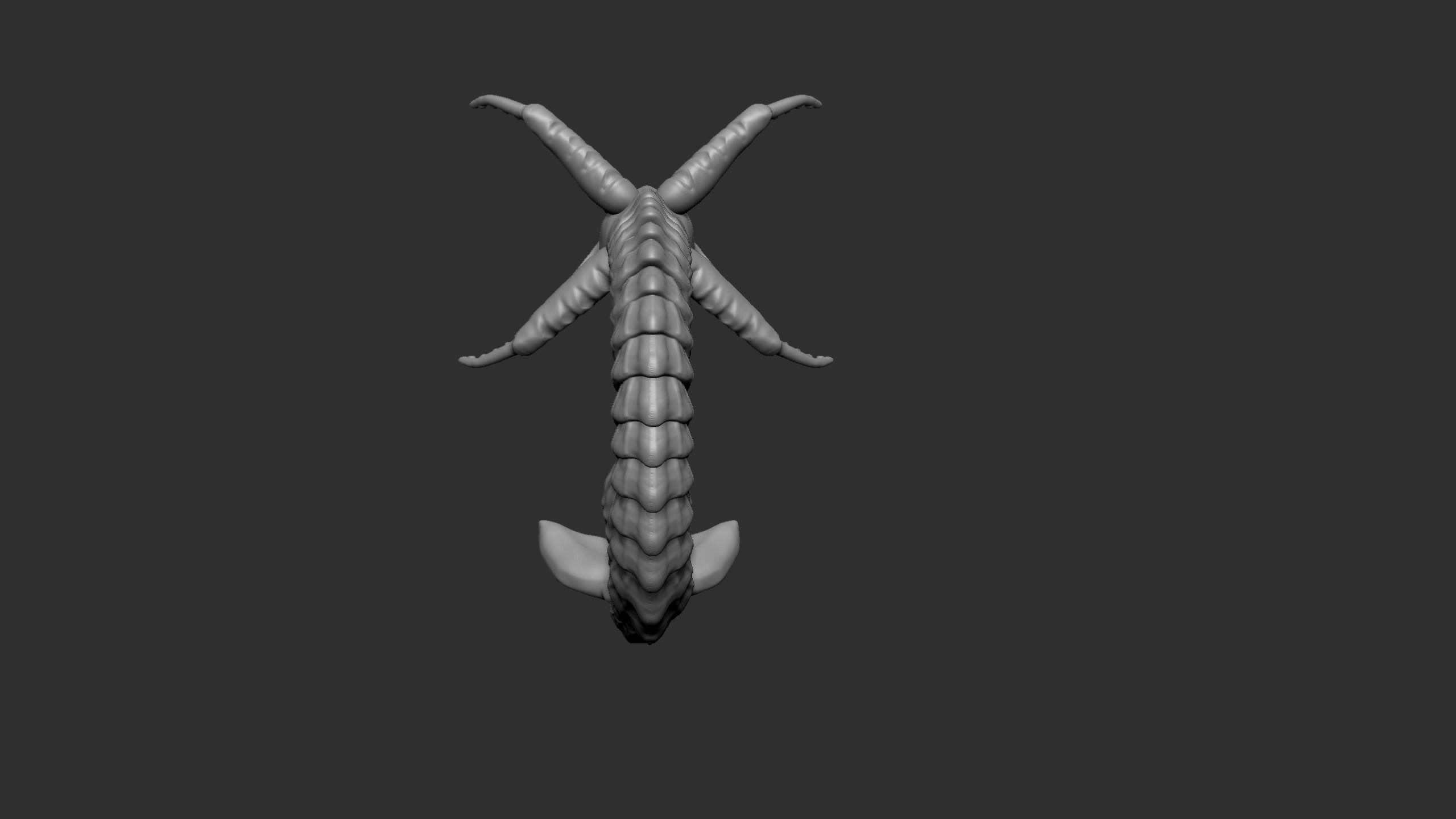 Seamonster snake with tail Low-poly 3D model_10