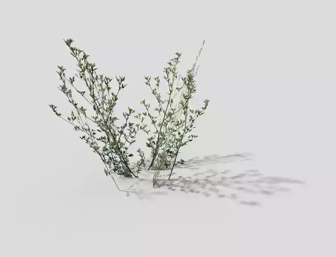 low poly grass plant in vase Low-poly 3D model
