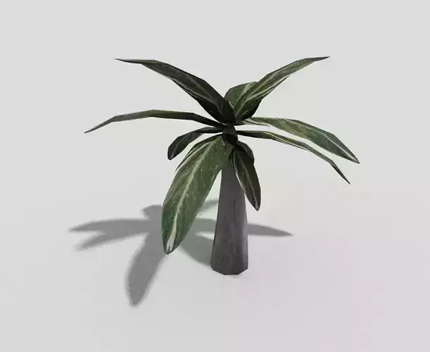 Low poly Plant palm tree Low-poly 3D model