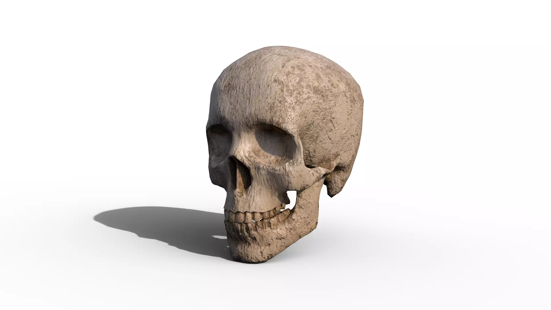 Skull human Low-poly 3D model_0