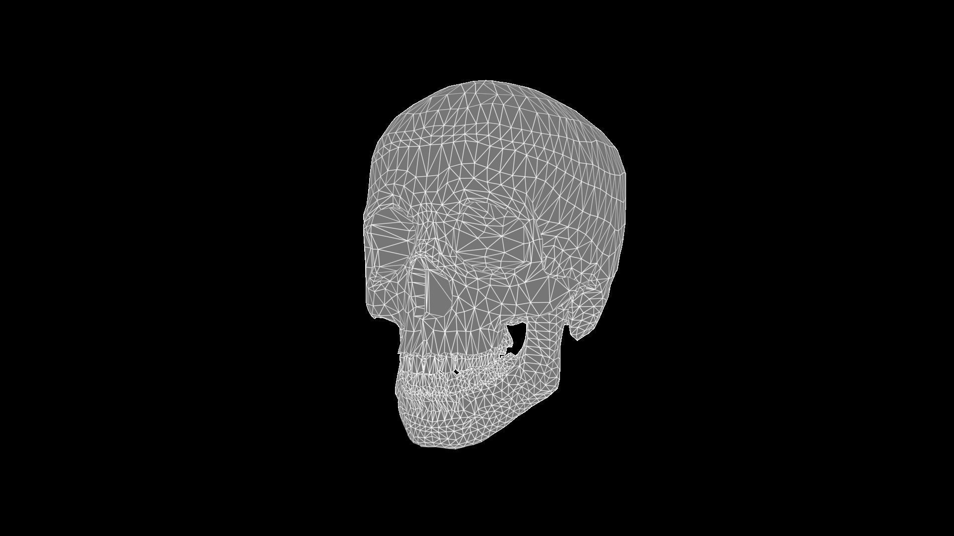 Skull human Low-poly 3D model_5