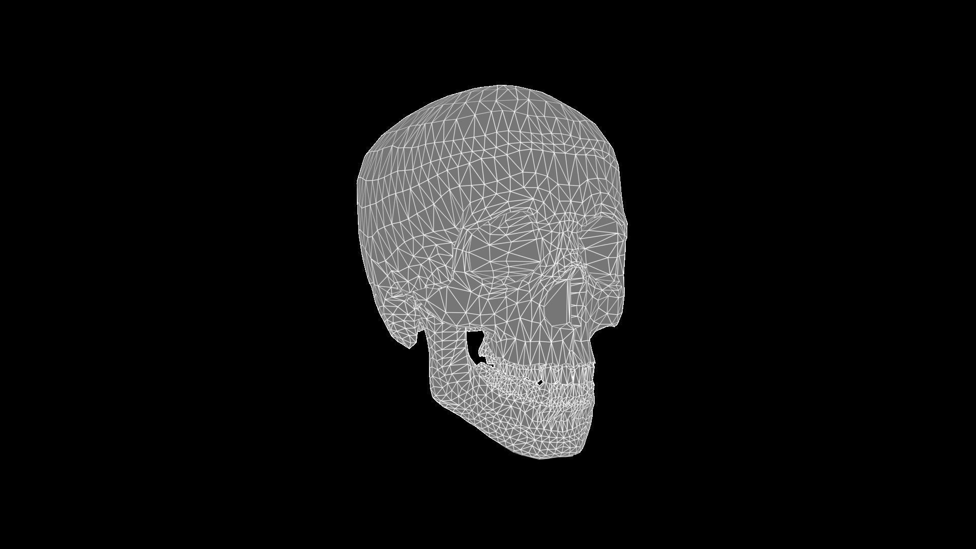 Skull human Low-poly 3D model_6