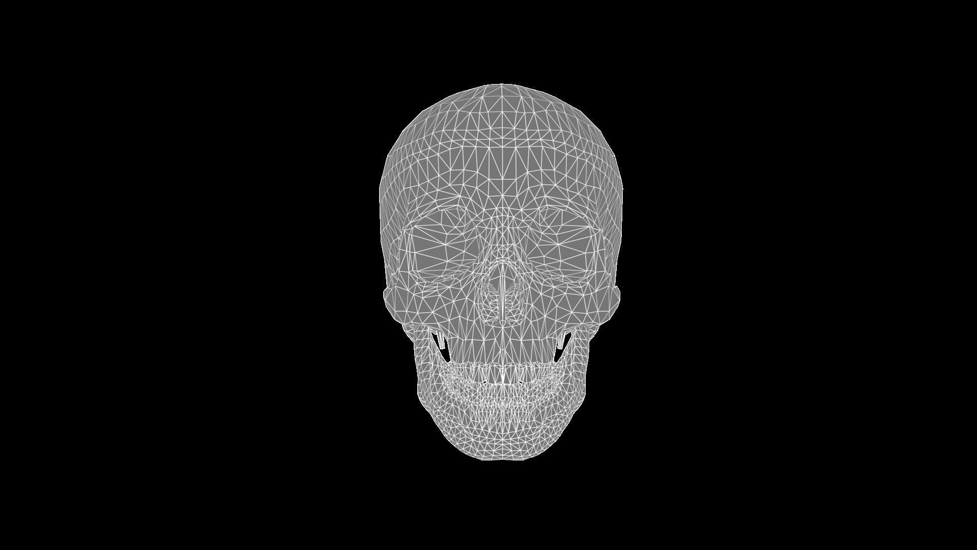 Skull human Low-poly 3D model_7