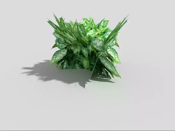 Low poly Plant