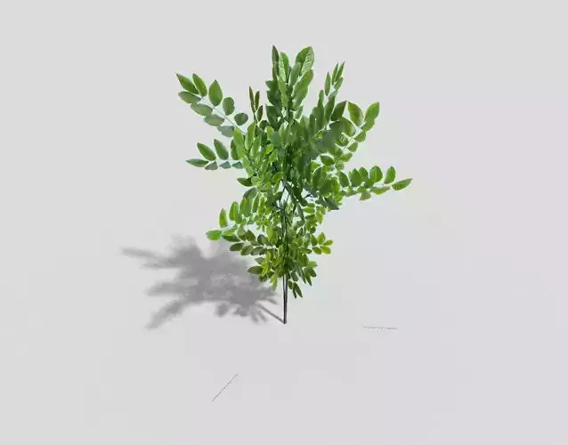 low poly shrub plant