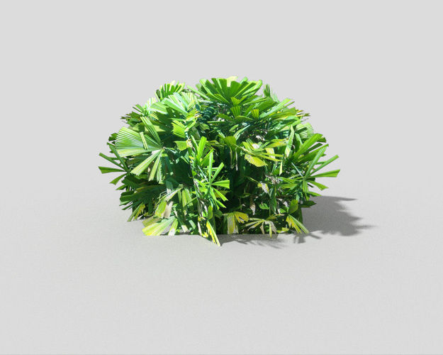 low poly shrub plant Low-poly 3D model