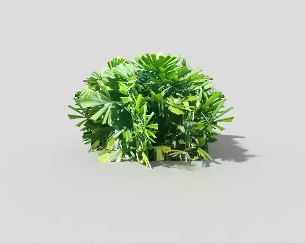 low poly shrub plant