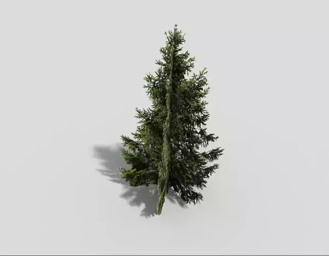 low poly spruce 2 christmas tree