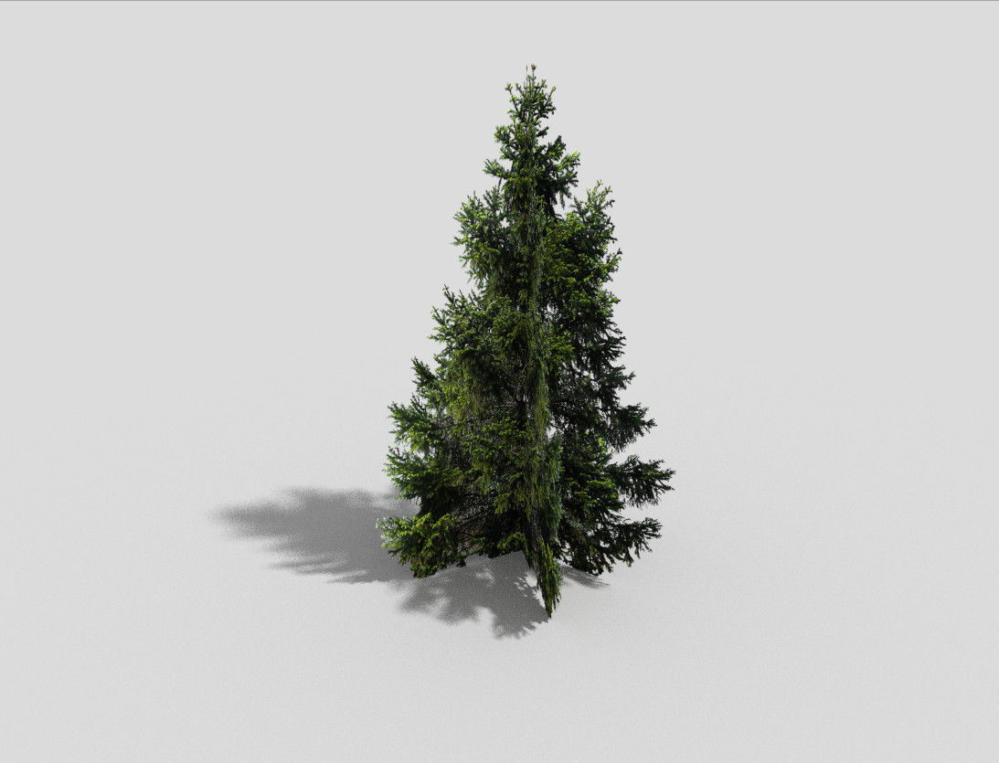 low poly spruce 2 christmas tree Low-poly 3D model_3