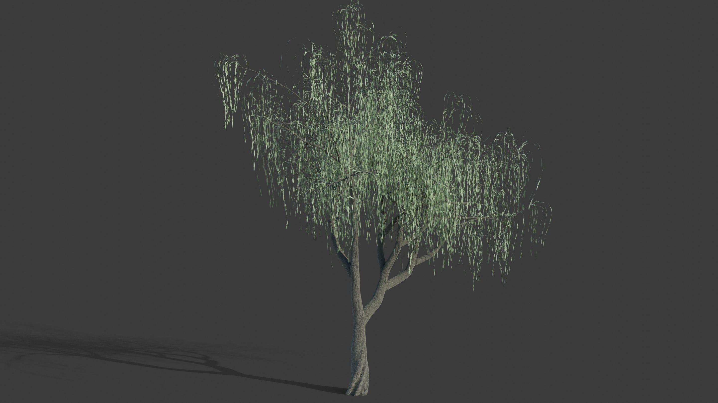 Tree Collection - 20 Tree Asset Pack 3D model_17