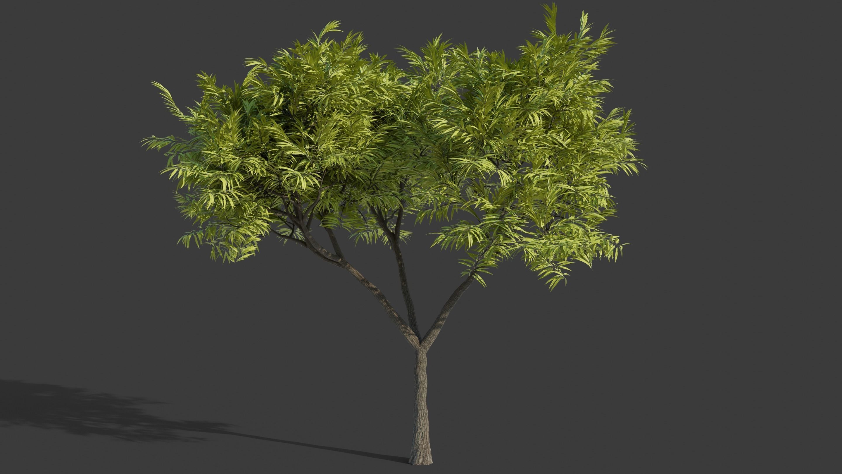 Tree Collection - 20 Tree Asset Pack 3D model_14