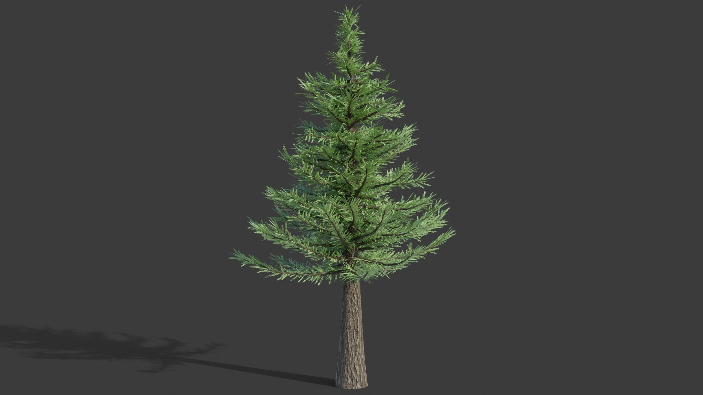 Tree Collection - 20 Tree Asset Pack 3D model_8