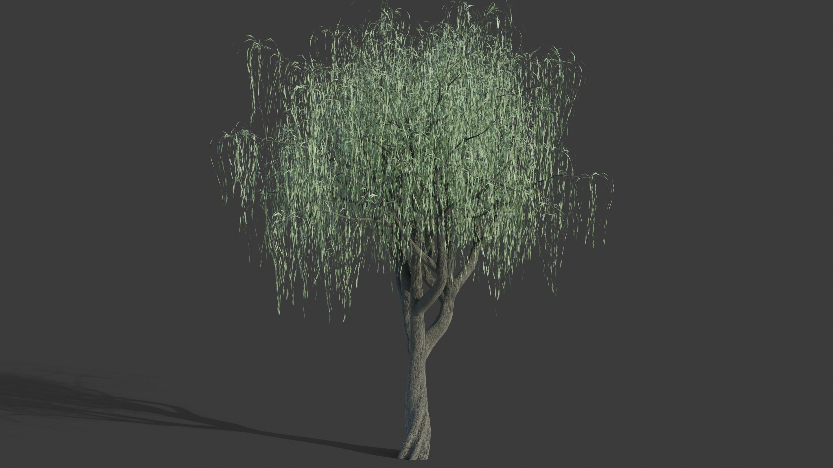 Tree Collection - 20 Tree Asset Pack 3D model_20