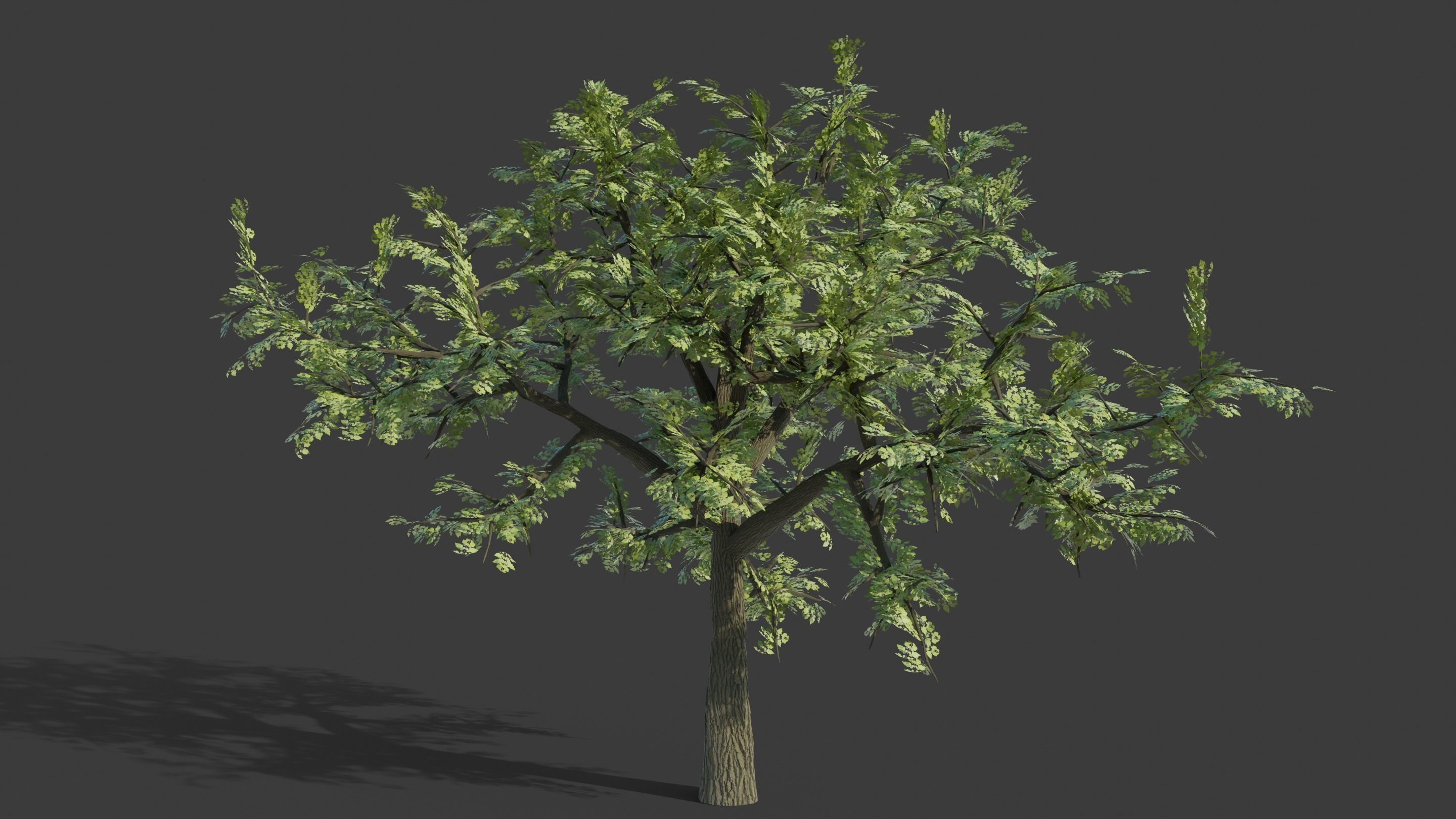 Tree Collection - 20 Tree Asset Pack 3D model_2