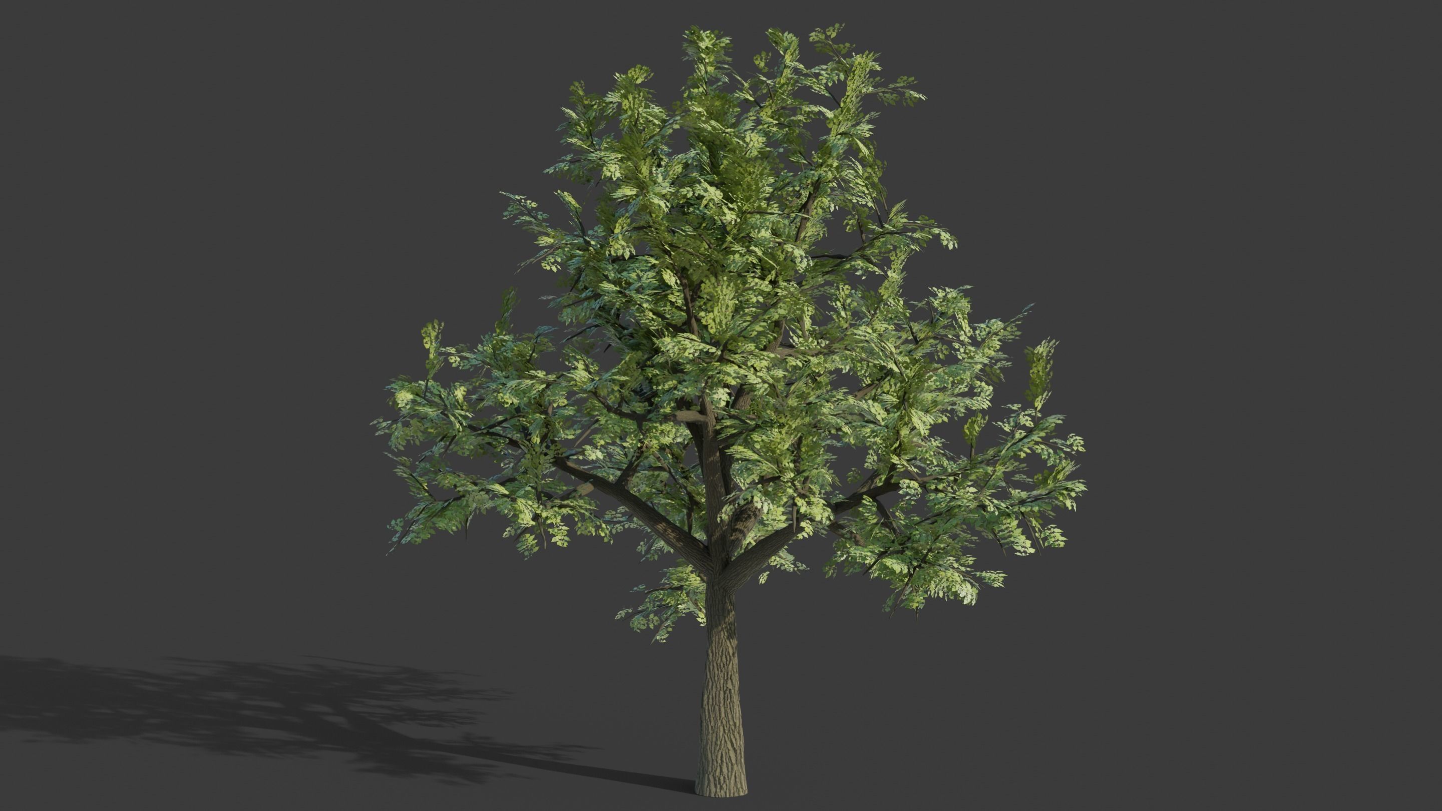 Tree Collection - 20 Tree Asset Pack 3D model_4