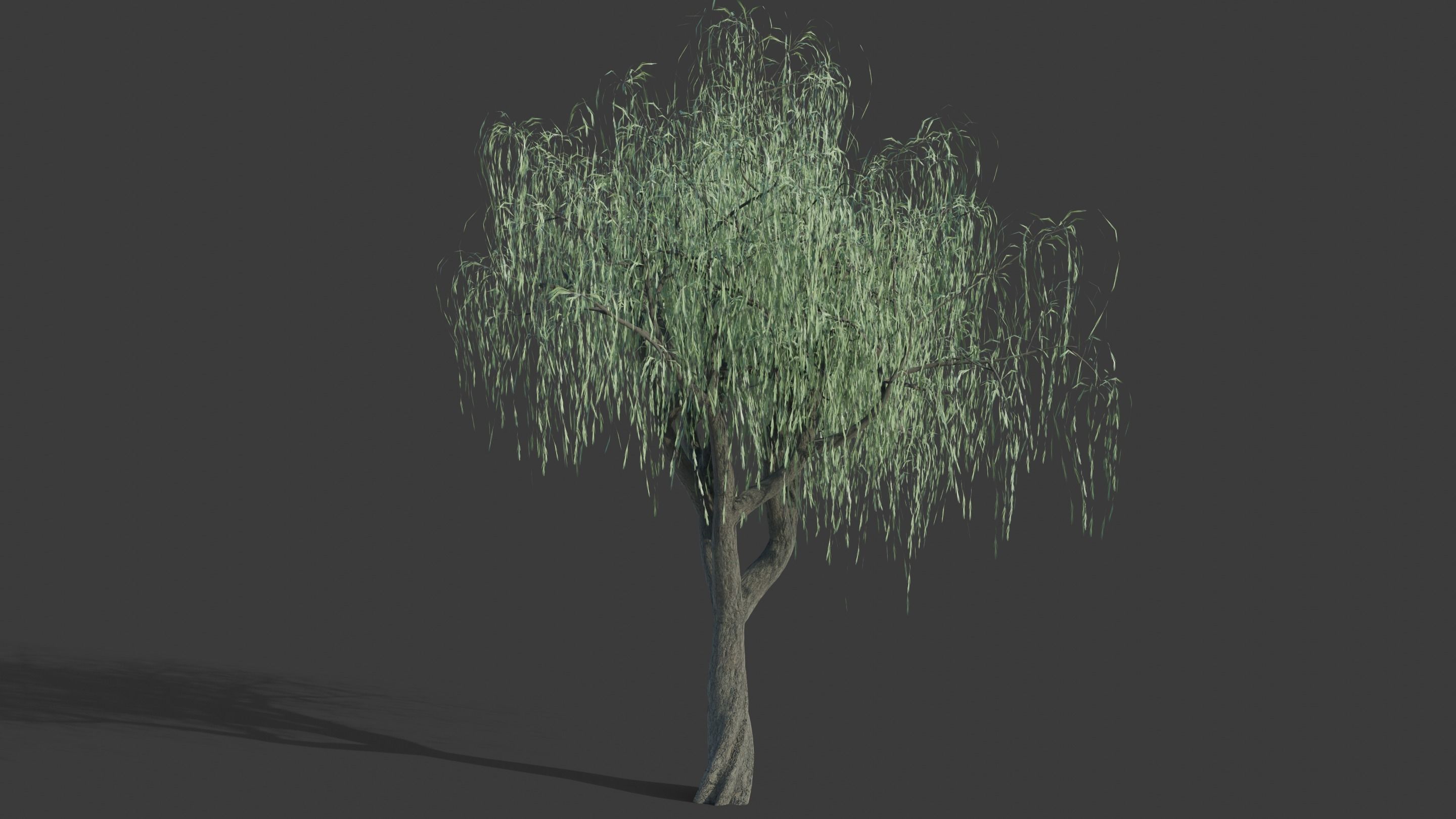 Tree Collection - 20 Tree Asset Pack 3D model_19
