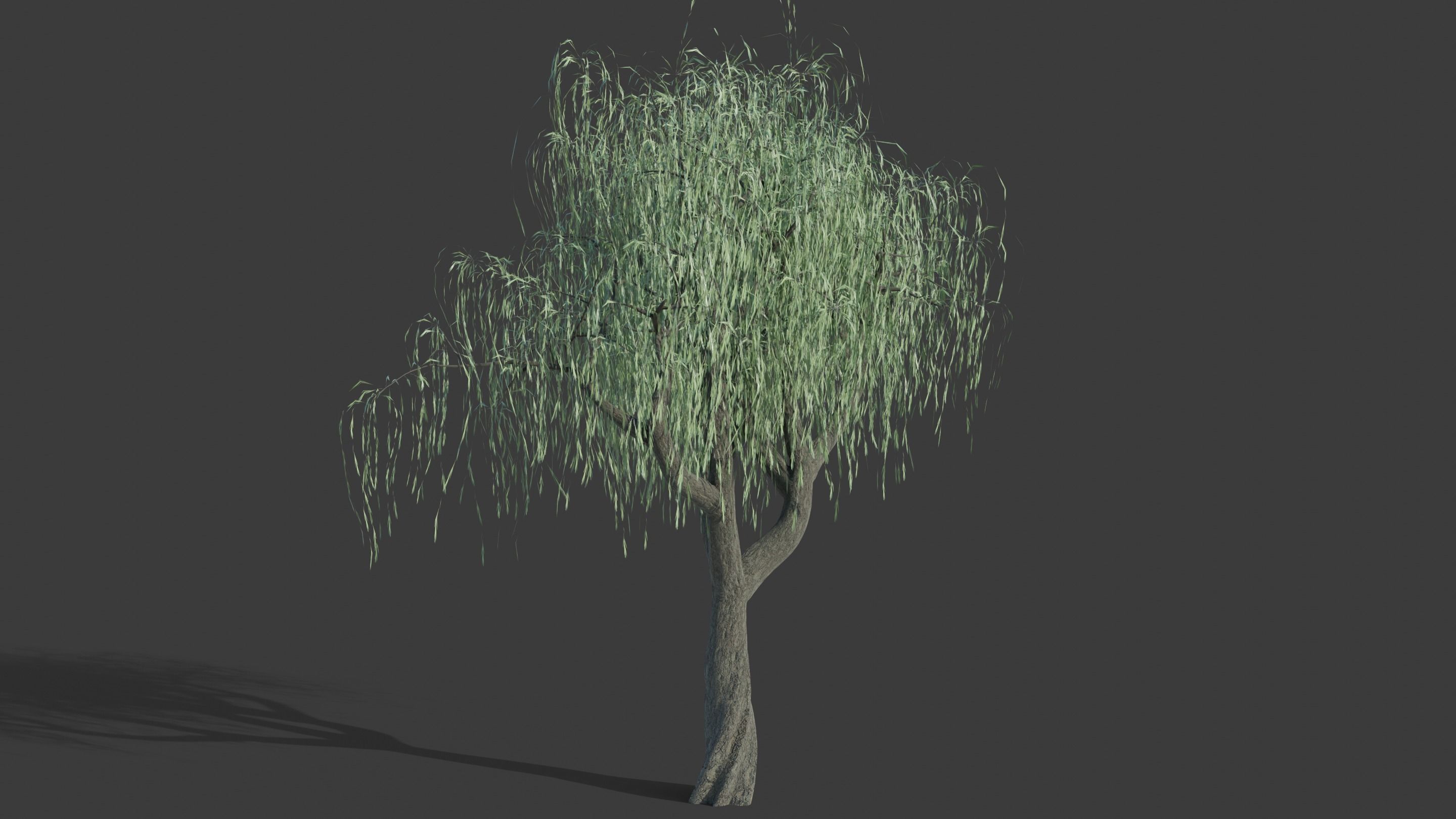Tree Collection - 20 Tree Asset Pack 3D model_16