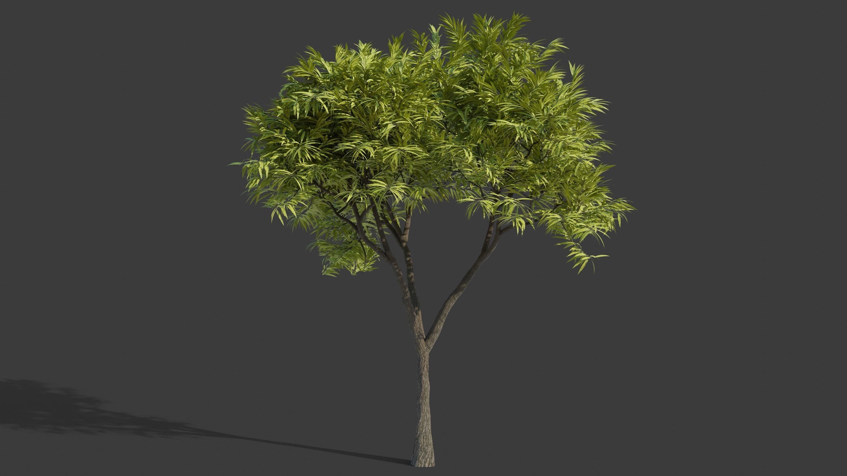 Tree Collection - 20 Tree Asset Pack 3D model_12