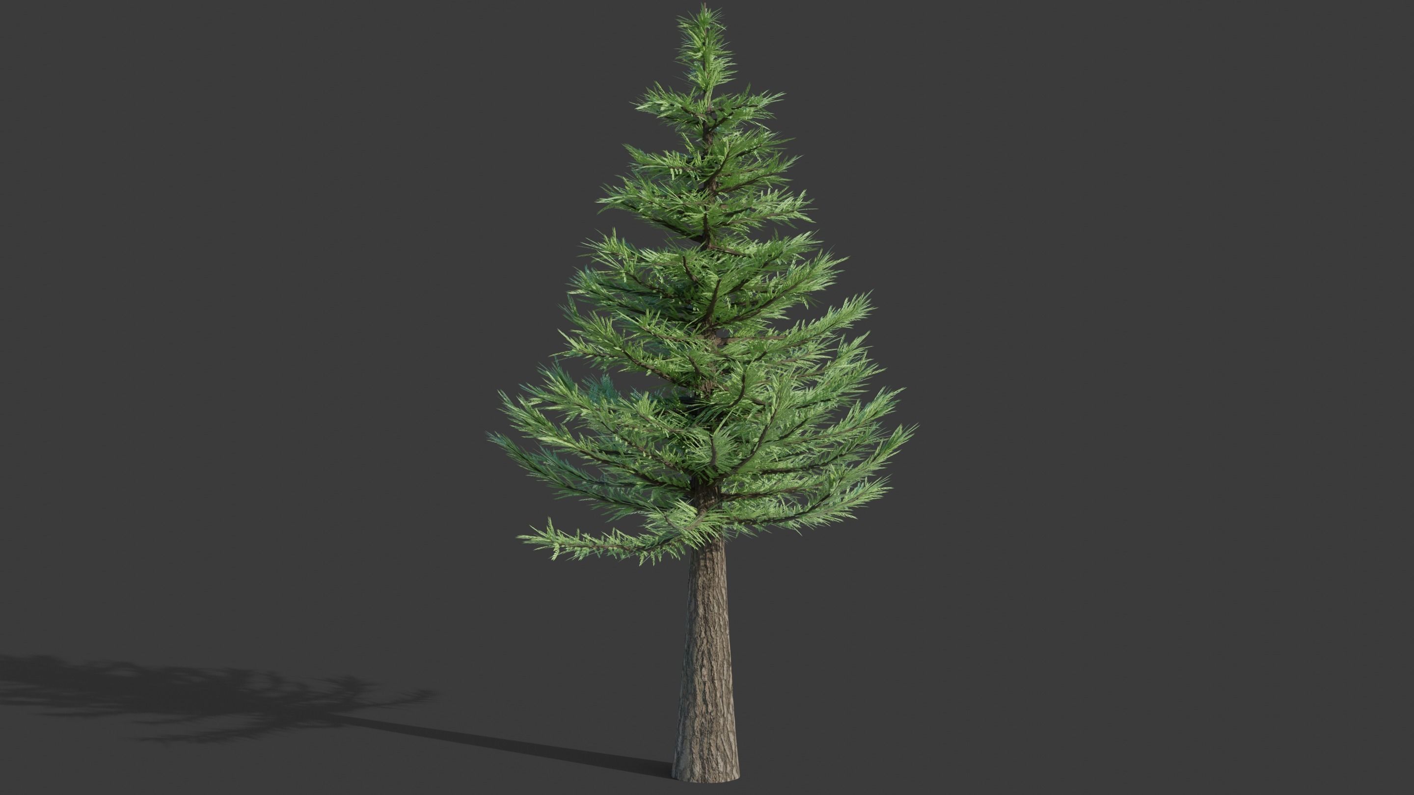 Tree Collection - 20 Tree Asset Pack 3D model_6