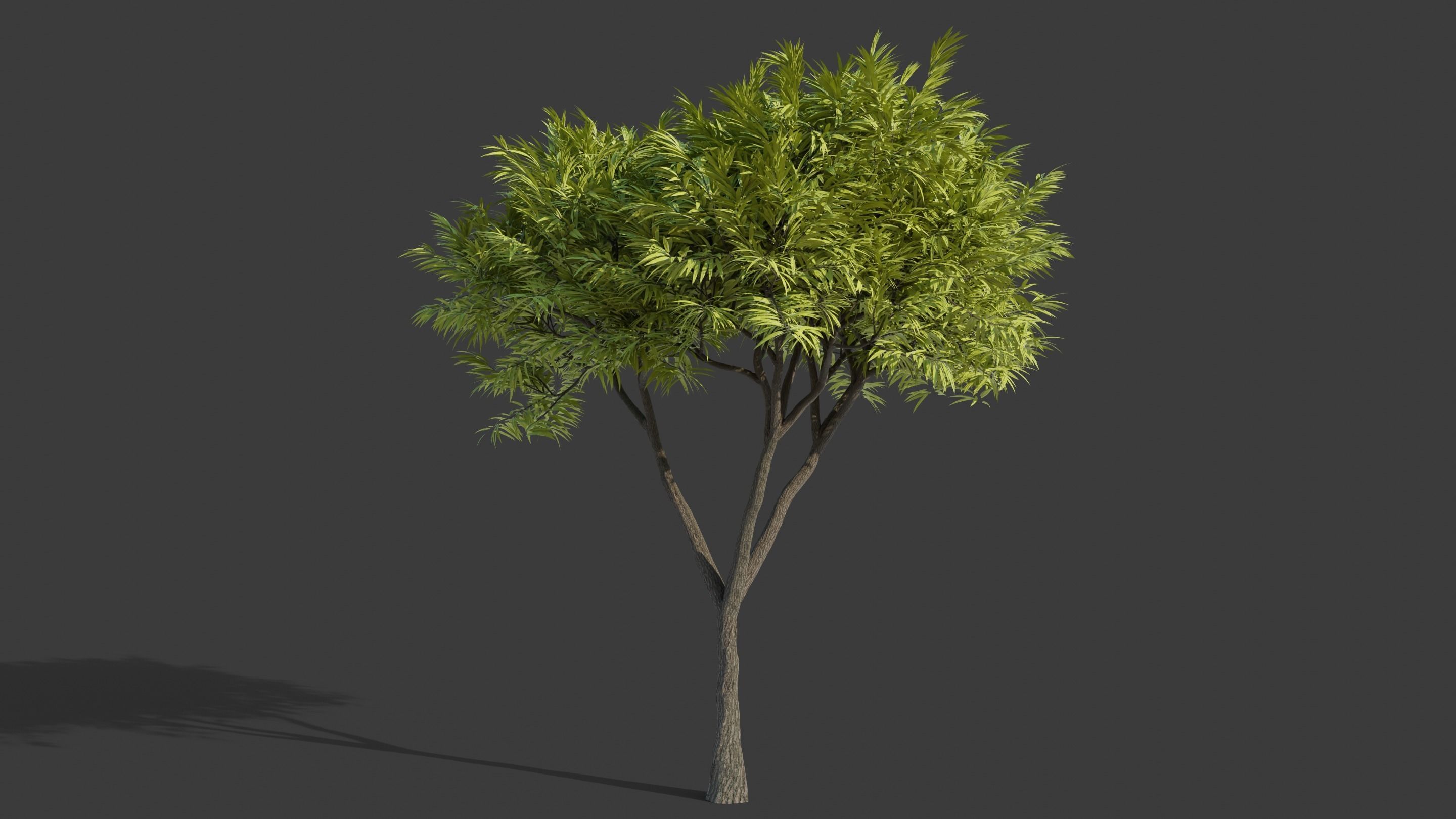 Tree Collection - 20 Tree Asset Pack 3D model_15