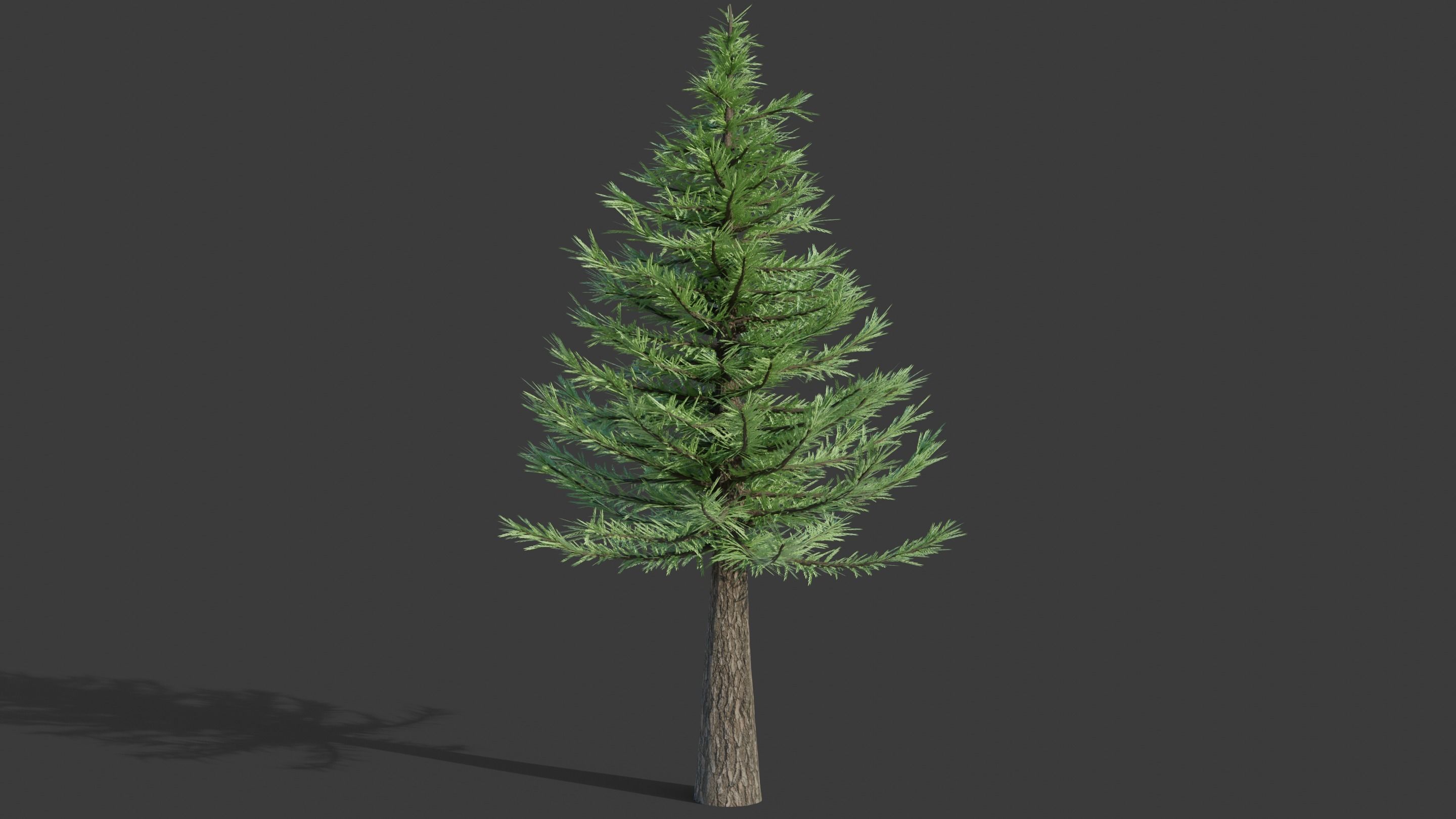 Tree Collection - 20 Tree Asset Pack 3D model_9