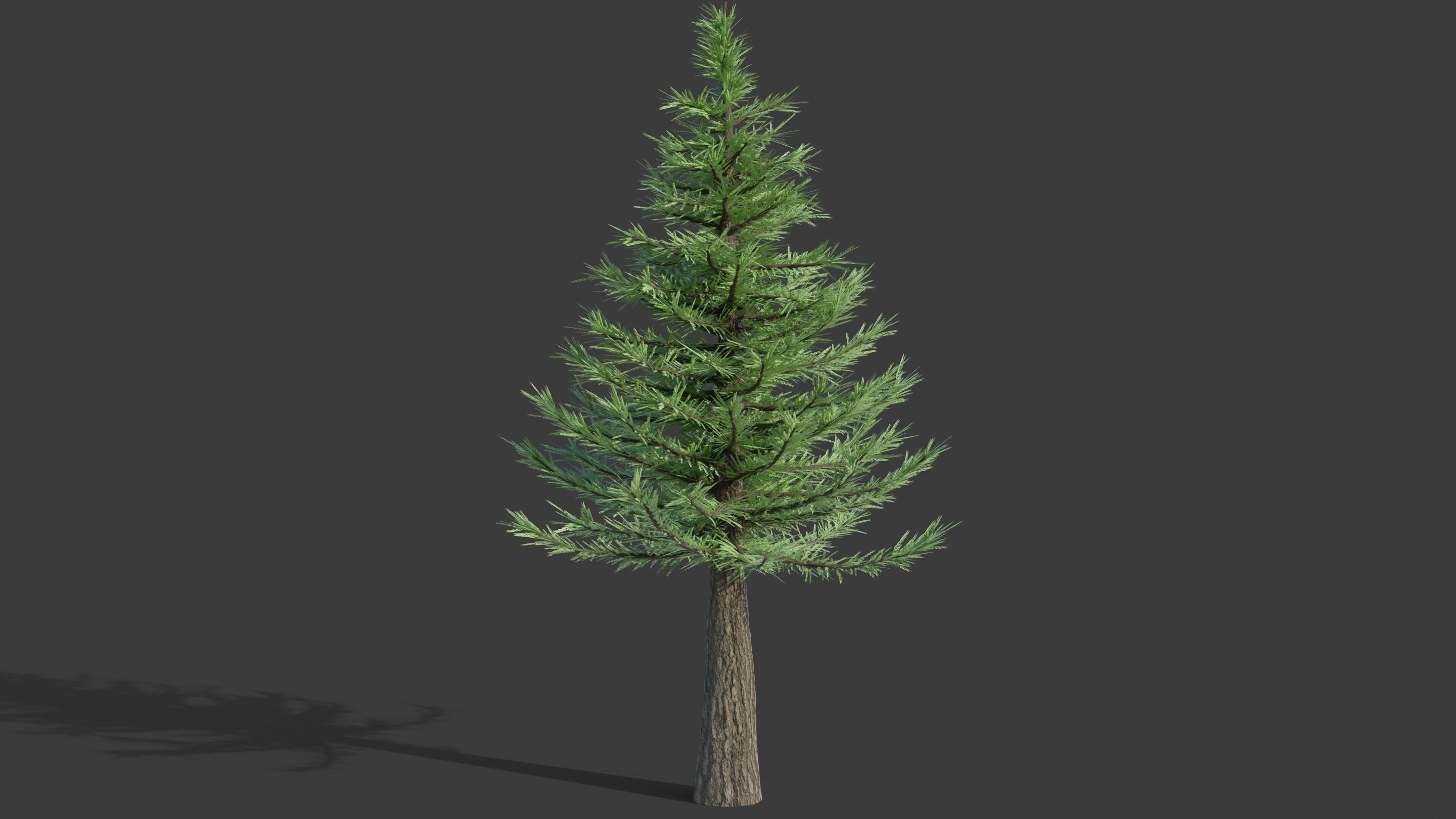 Tree Collection - 20 Tree Asset Pack 3D model_10