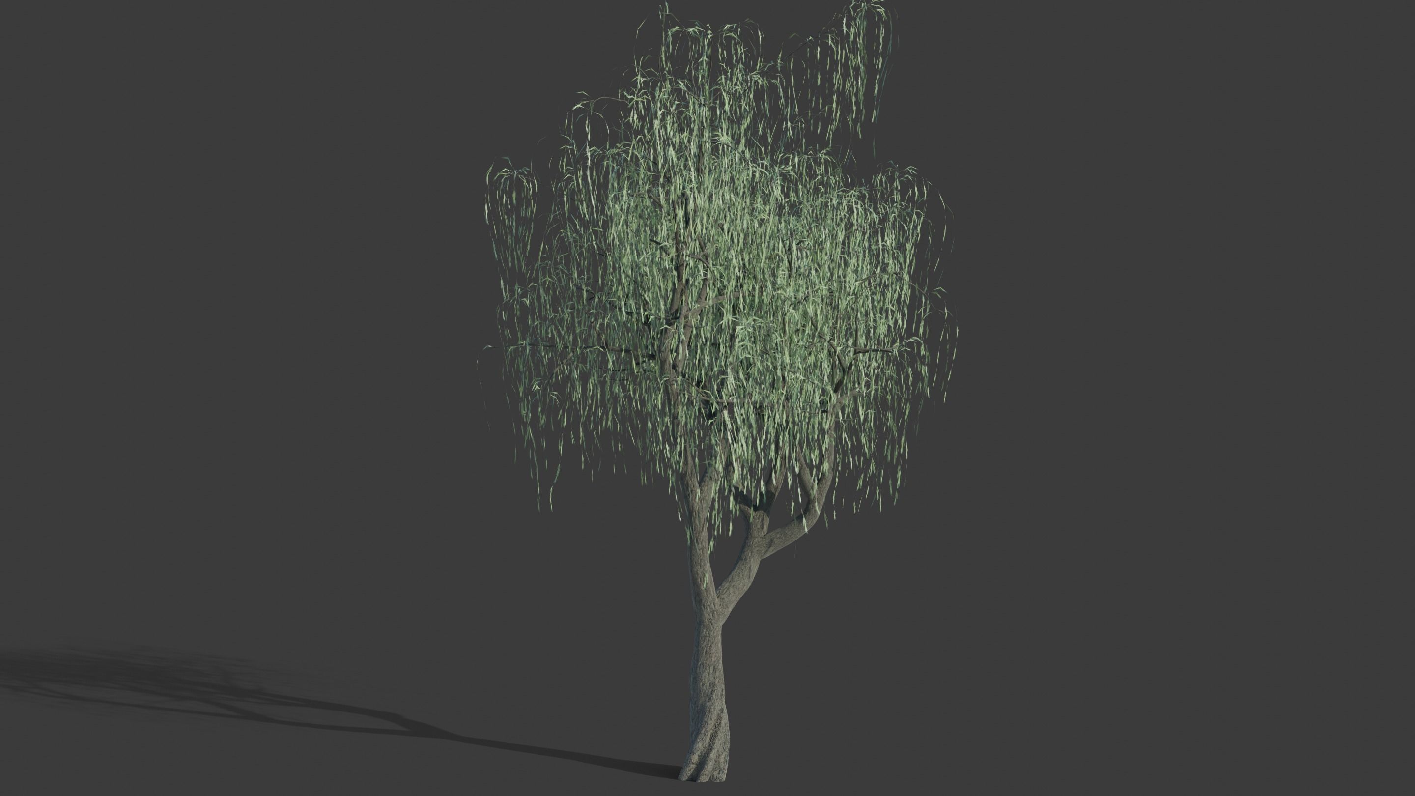 Tree Collection - 20 Tree Asset Pack 3D model_18