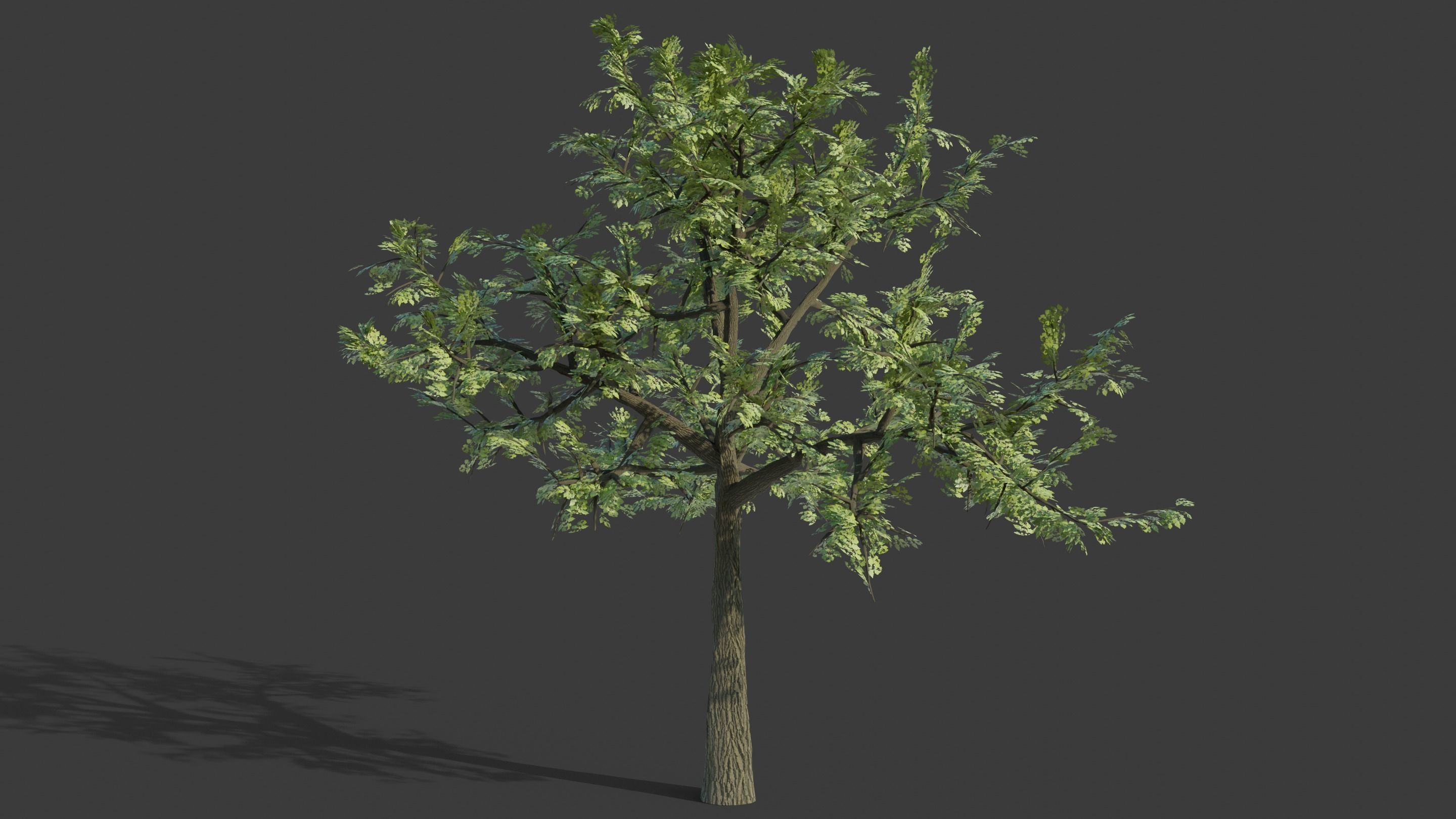 Tree Collection - 20 Tree Asset Pack 3D model_3
