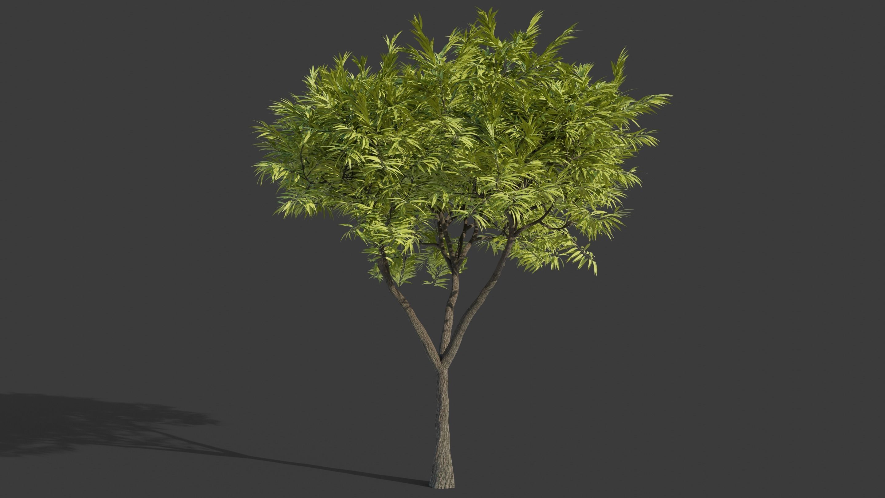 Tree Collection - 20 Tree Asset Pack 3D model_13