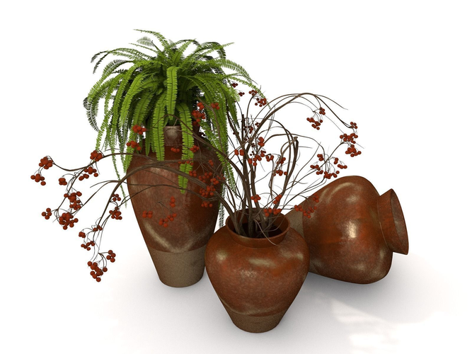 pot plant fern accessories Free 3D model