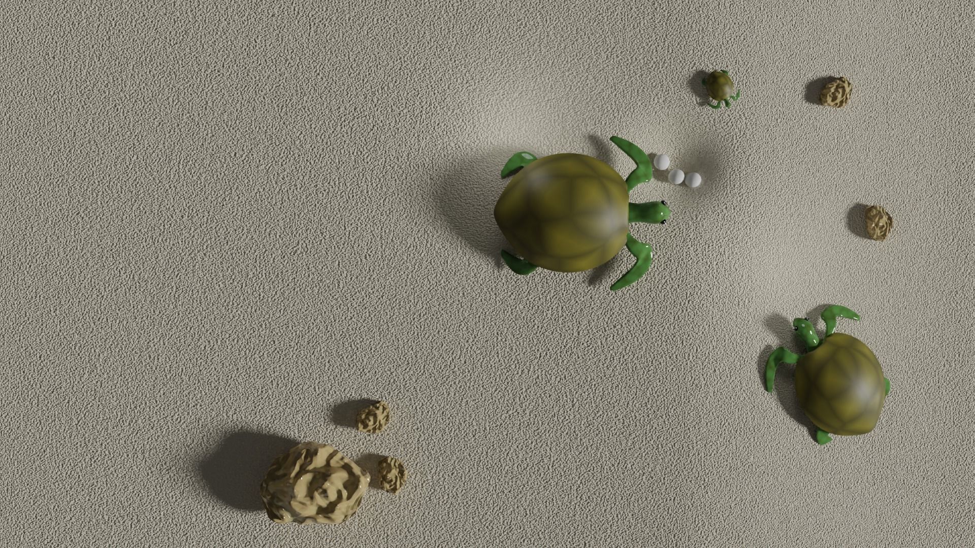 Stylised Cartoony Turtles on Beach 3D model_6